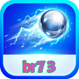 br73
